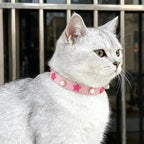 EXPAWLORER Leather Cat Collar for Girl Boy- Adjustable Pet Collar - Image 7