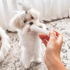 Nylabone New Puppy Starter Kit, Chew Toys & Natural Chew Treat - Image 2