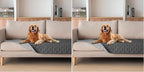 gogobunny 3X Stronger Waterproof Pet Blanket, Scratch Proof Furniture Protector by gogobunny