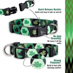 Native Pup St Patricks Dog Collar- Saint Patrick Green Shamrock Pet Collars- - Image 4