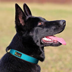 Plutus Pet Tactical Dog Collar, Reflective, Adjustable Heavy Duty Dog Collar - Image 6