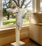 Cat Scratching Post with Large Window Perch - Image 7
