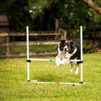 Midlee Dog Agility Bar Jumps- Set of 4 Jumps - Image 8