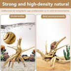 Jorewood Natural Large Spiderwood Driftwood - Image 3