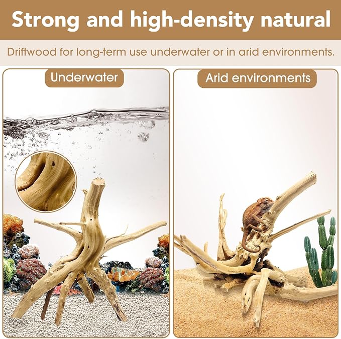 Jorewood Natural Small Spiderwood Driftwood - Image 3