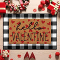 Tinideya 2 Pcs Valentine Door Mat Hello February 14th Welcome Non Slip Coir by Tinideya