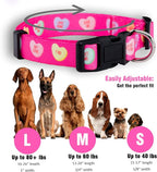 Native Pup Valentine’s Dog Collar- Valentines Day Pet Collars- Valentine Girly - Image 3