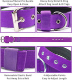 Heavy Duty Tactical Dog Collar - Image 3