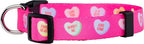 Native Pup Valentine’s Dog Collar- Valentines Day Pet Collars- Valentine Girly - Image 2