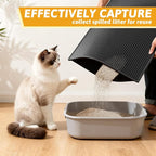 Pieviev Cat Litter Mat Double Layer Waterproof Urine Proof Trapping Mat 1 Pack) - Image 5