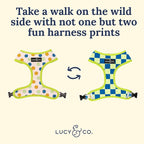 Lucy & Co. Lime Green with Blue Checker Smiley Faces, Cute Reversible Dog - Image 3