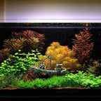 Raeasily Fish Tank Decoration Aquarium Accessories, Shipwreck Decor, Resin - Image 7