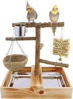 Mogoko Natural Bird Perches Playground, Cage Accessories, Toys Playground - Image 8