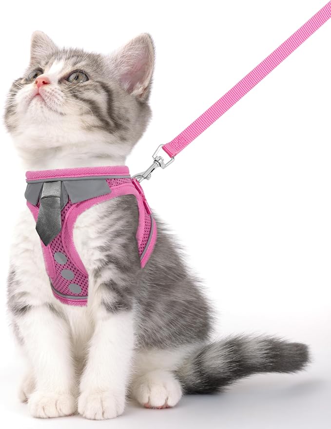 Cat Harness and Leash Set for Walking Escape Proof, Soft Adjustable Kitten by NCMAMA