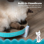 Catstages Scratch, Snuggle & Rest – 2‑in‑1 Indoor Cat Scratcher & Elevated Cat - Image 3