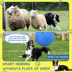 Herding Ball for Dogs and Horses - Image 3