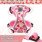KOOLTAIL Cat Harness and Leash Set, Escape Proof - Image 2