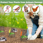 10 Pcs 6.8"×7.4" Seedling Plant Protectors from Animals, Chicken Wire Plant - Image 4