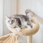 IRONCK Litter Box Enclosure - Image 8