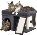 XL Cat Tree Tower for Large Adult Cats 20 lbs+, 25in Perch Bed, Condo Cave for by Aechonow