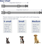 Cute Dog Collar Rainbow Pattern - Image 2