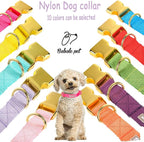 Nylon Dog Collar - Image 7
