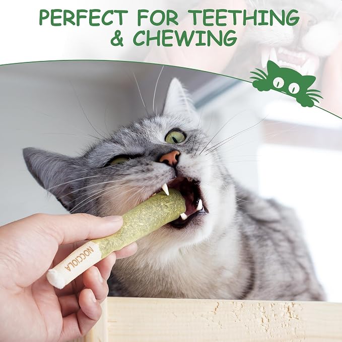Nocciola 3 Pack Catnip Toys for Cats, Funny Cat Toys Filled - Image 5