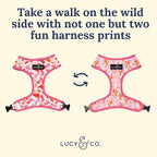 Lucy & Co. Cute Reversible Dog Harness Walking Halter - Image 7