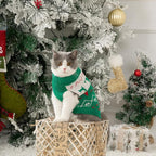 Stretchy Cat Christmas Sweater - Image 6