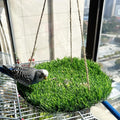 FlidRunest Large Bird Foraging Mat Toys, Natural Bird Grass Hammock Swing Toy by FlidRunest
