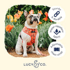 Lucy & Co. Reversible Dog Harness Walking Halter - Image 4