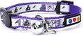 Pawtitas Glow in The Dark Cat Collar by Pawtitas