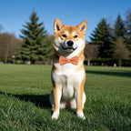 PET SHOW 8 Colors Dot Small Dogs Collar Embellishment Attachment Bow Ties - Image 6