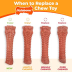 Nylabone Original & Textured Bone Power Chew Toy - Image 8