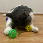 SPOT Slotted Balls Cat Toy - Image 9