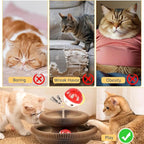 2Pcs Magic Organ Cat Scratcher Toy, Extra-Thick & Large Connectable Cardboard - Image 3