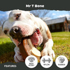 Barkbox Super Chewer Tough Dog Chew Toys - Image 4