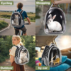 Pet Carrier Backpack Bearded Dragon Cat Bird Rabbit Guinea Pig Small Animal - Image 6