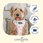 Lucy & Co. in The Clouds, Cute Reversible Dog Harness Walking Halter - Image 4