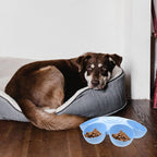 Puppy Litter Bowl Cat Bowls Dog Food Water Bowls Flower Shaped 6 Bowls Pet - Image 5