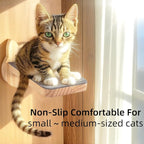 ESPETS Natural Solid Wood Cat Wall Floating Steps Set of 3 - Image 6