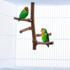 CozyCabin Natural Bird Perch Stand - Image 2