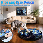 ORSDA Cat Toys Pouch, Cat Toys for Indoor Cats Hide and Seek Mat Suitable for - Image 2