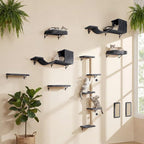 MEWANG 5-in-1 Cat Wall Shelves: Cat Climbing Furniture - Image 7