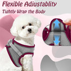 AIITLE Step in Dog Harness and Leash Set - Image 7