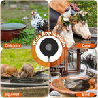 Bird Bath Heater for Outdoors in Winter, 70w Birdbath Deicer Thermostatic - Image 6