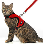 PUPTECK Cat Harness and Leash Set Escape Proof, Reflective Adjustable Soft Mesh by PUPTECK