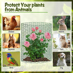 CIEOVO 32.8ft × 15.74 inches Wire Plant Protector from Animals, Metal Mesh - Image 3