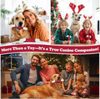10-Pack Tough Dog Toys, Toys for Aggressive Chewers Large Breed, Chew Dogs - Image 4