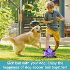 QDAN Dog Toys Soccer Ball - Image 3
